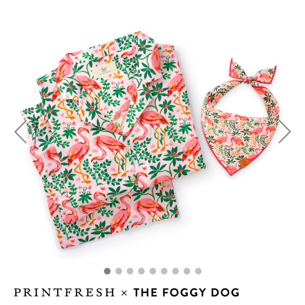 The Foggy Dog Bandana - Picture 2 of 12